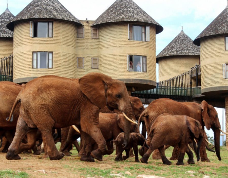 TSAVO-EAST-TAITA-SALTLICK-LODGE3-1024x642-1
