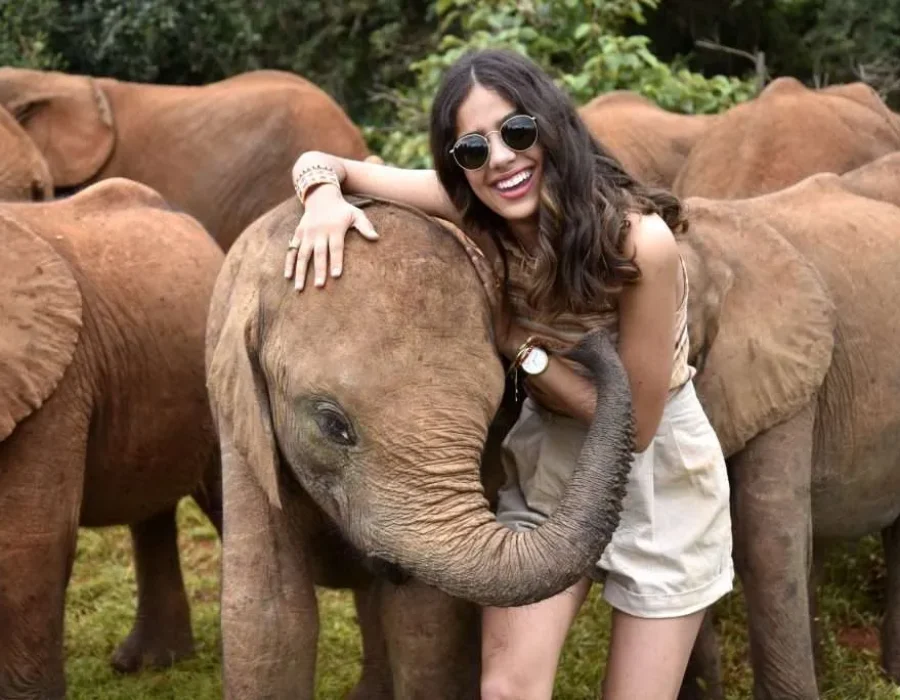 The-David-Sheldrick-Elephant-Orphanagew