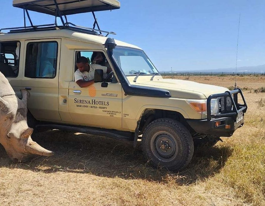 activities-game-drive